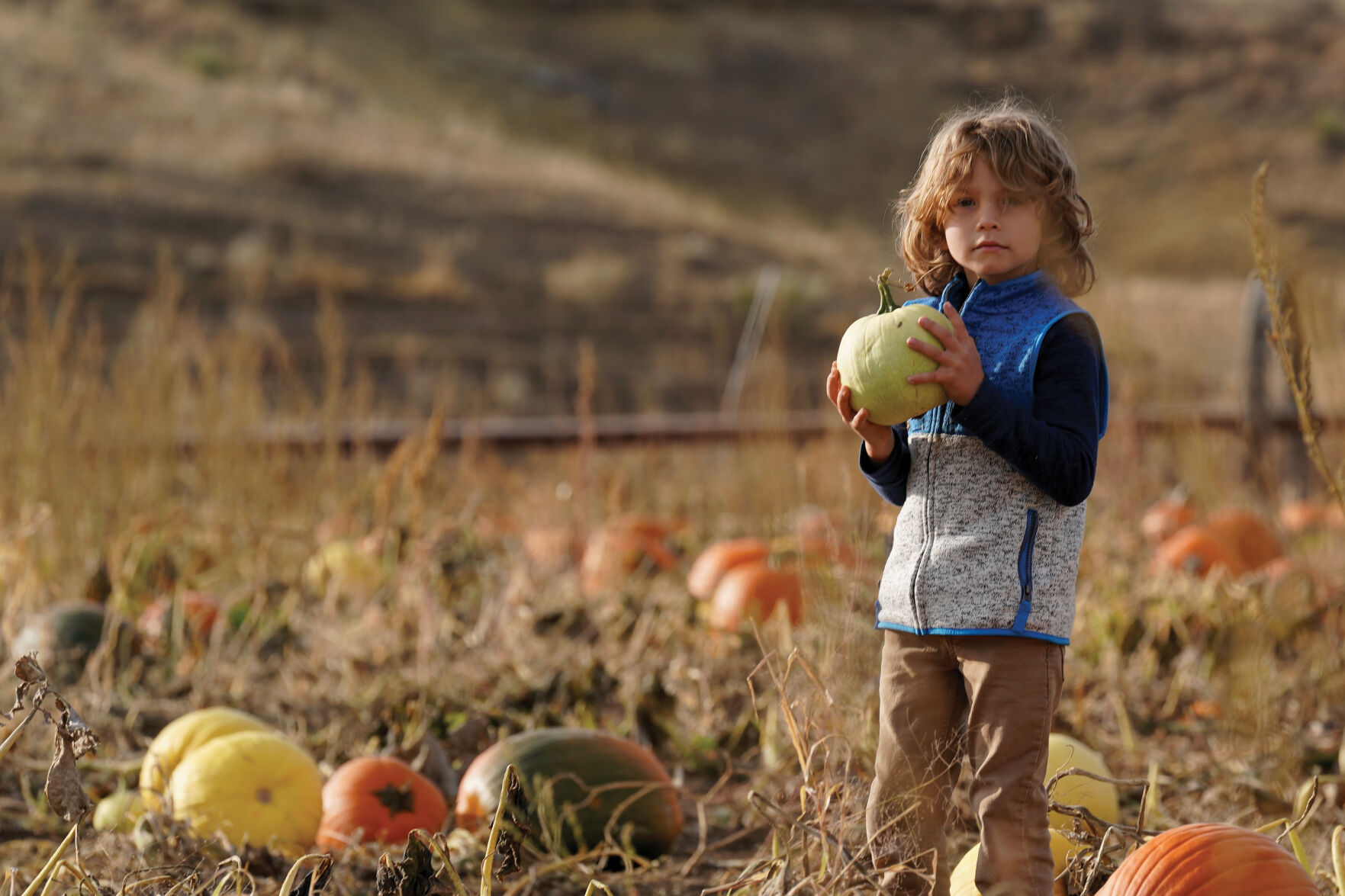 Pumpkin Patch Standalones 005.jpg